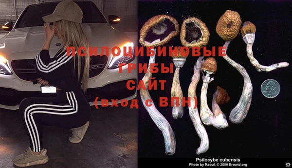 молекула духа Алзамай