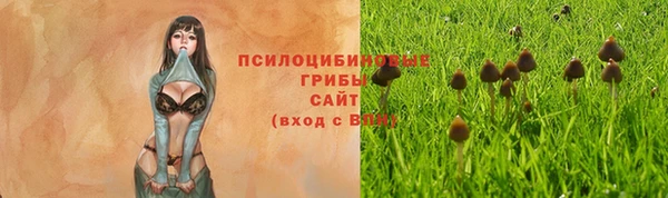 сатива Алексин