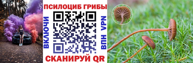 сайты даркнета как зайти  Волжский  Галлюциногенные грибы прущие грибы  где купить наркоту 