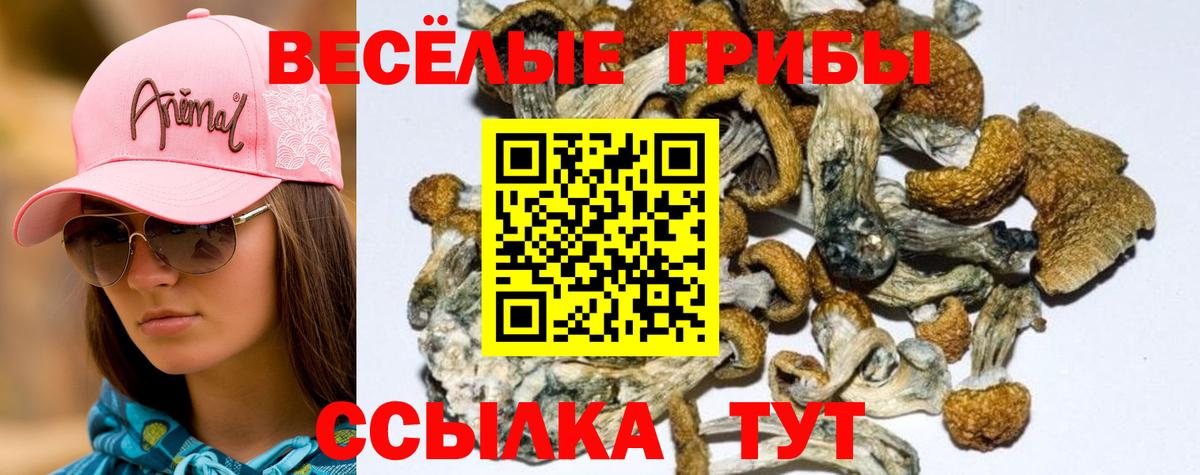 Псилоцибиновые грибы MAGIC MUSHROOMS  Галлюциногенные грибы мицелий  Вход с VPN  Волжский 