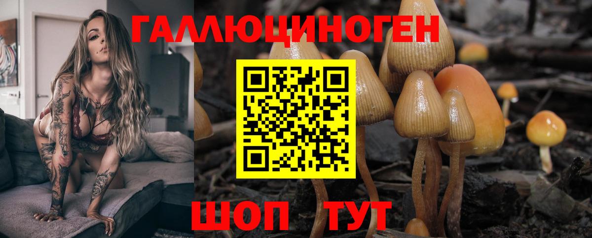 Псилоцибиновые грибы мухоморы Волжский